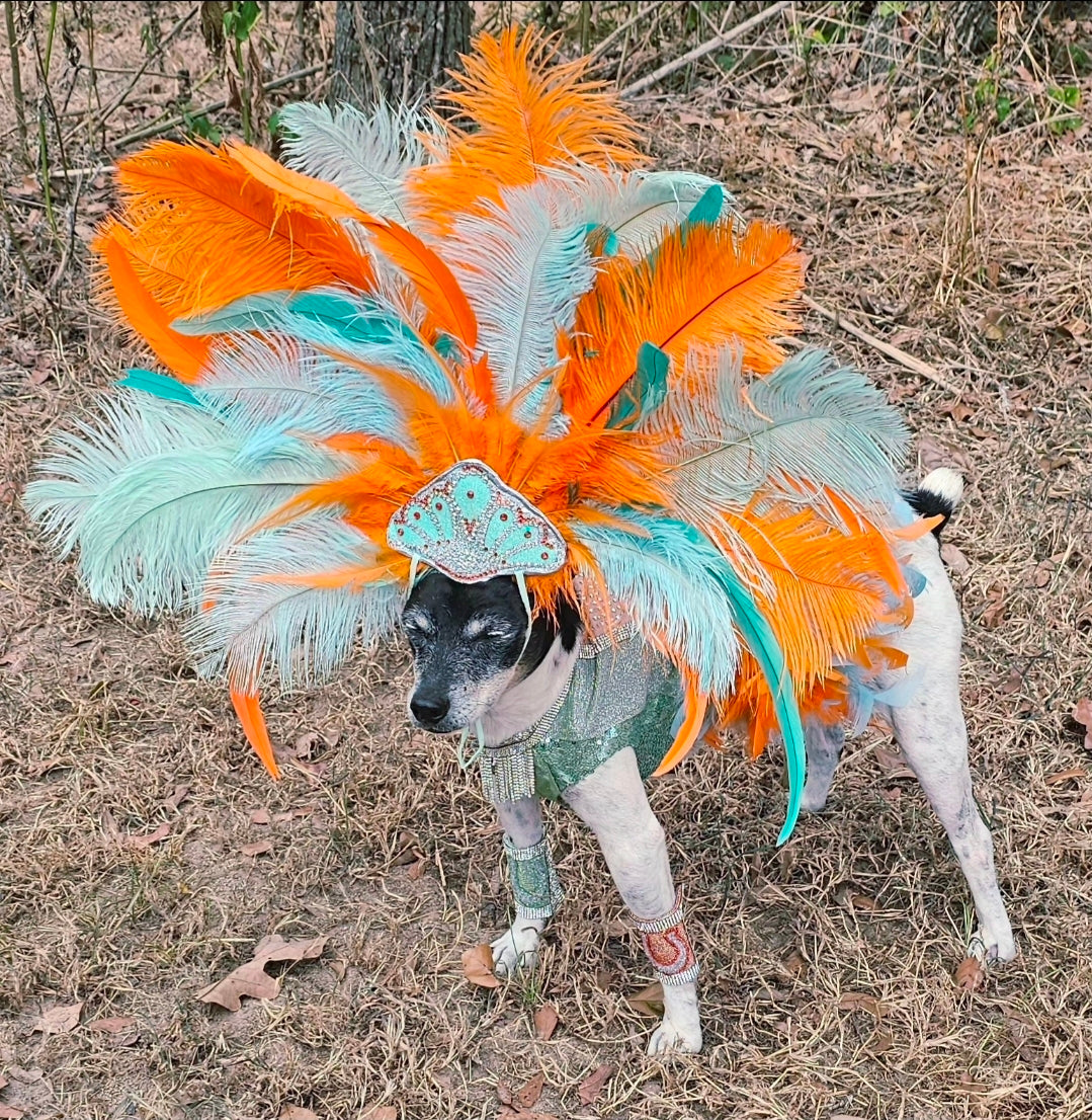 Showgirl pet costume, Life of showpet costume