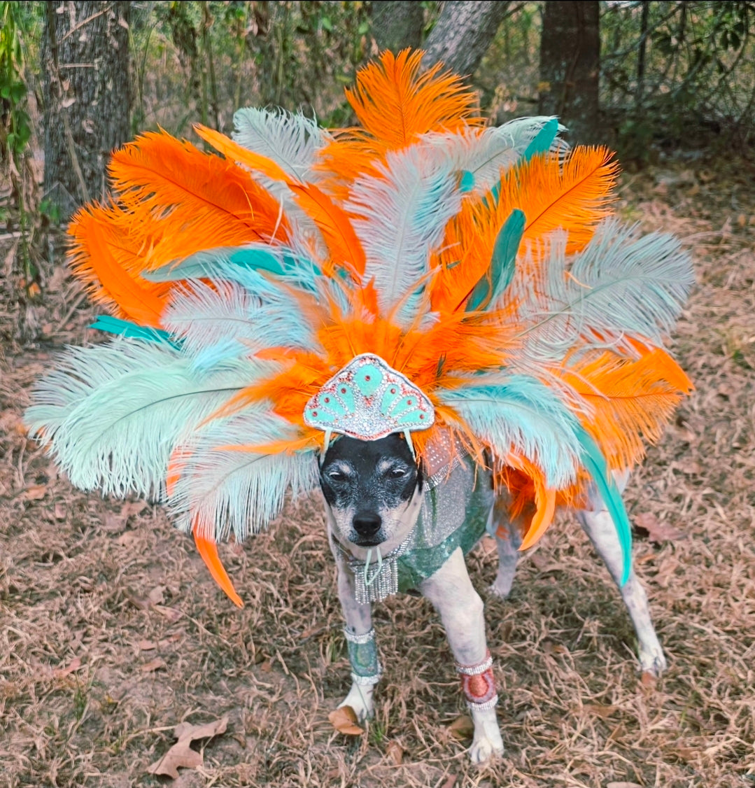 Showgirl pet costume, Life of showpet costume