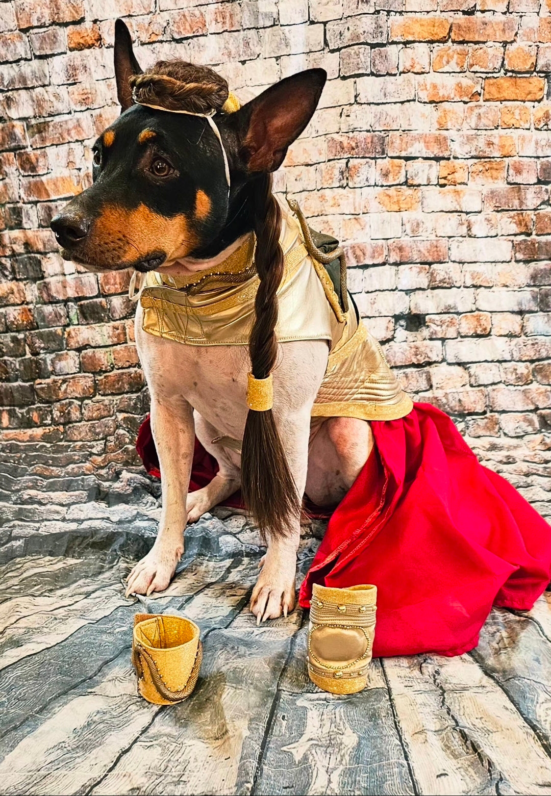 Princess Leia pet costume, princess Leia dog costume, stars wars pet costume