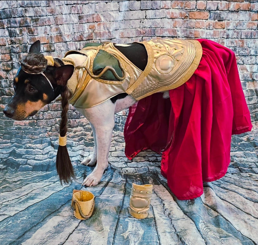 Princess Leia pet costume, princess Leia dog costume, stars wars pet costume