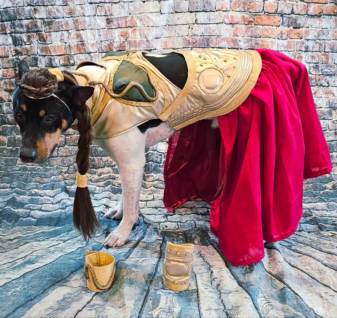 Princess Leia pet costume, princess Leia dog costume, stars wars pet costume