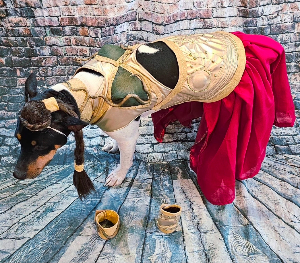 Princess Leia pet costume, princess Leia dog costume, stars wars pet costume