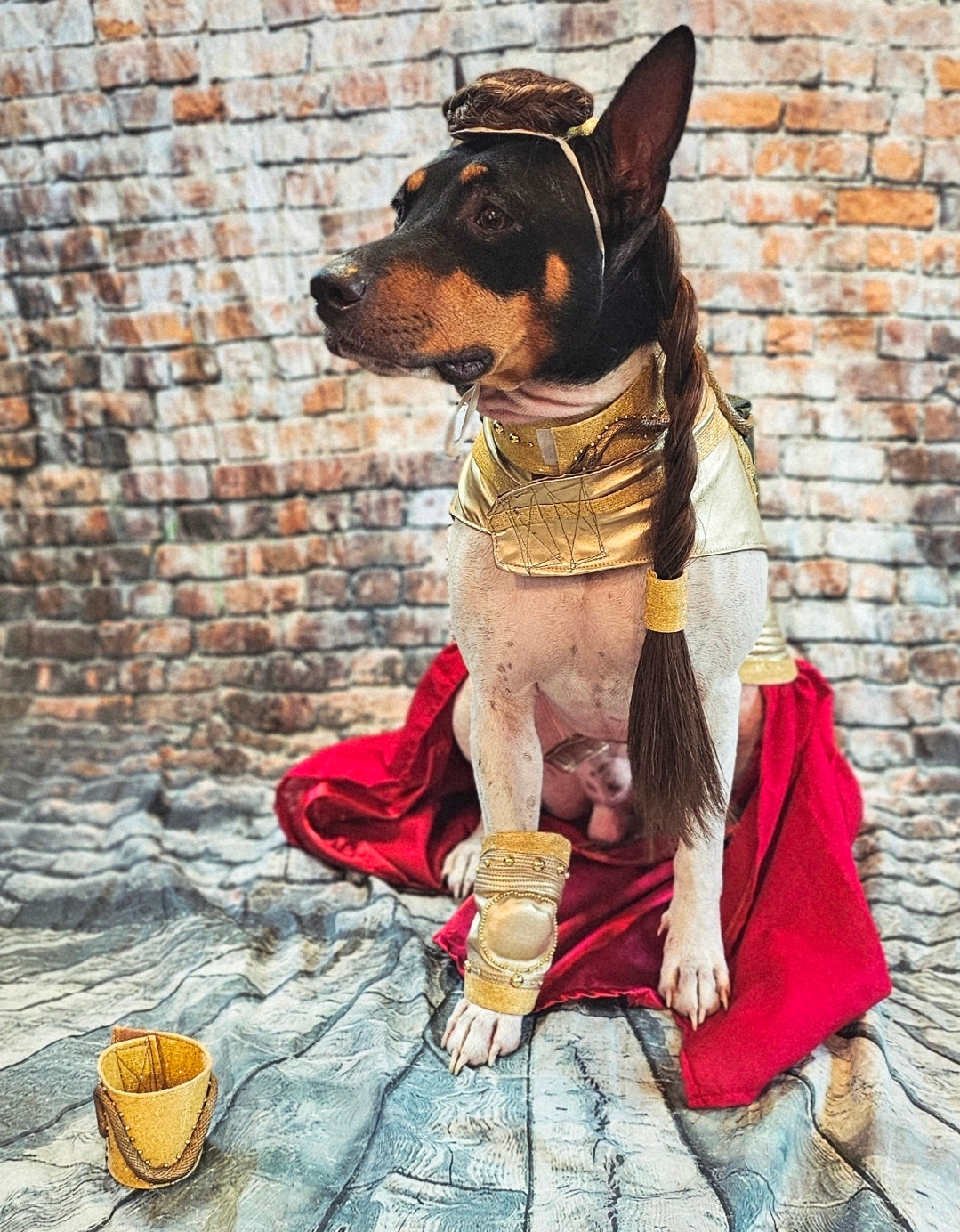 Princess Leia pet costume, princess Leia dog costume, stars wars pet costume