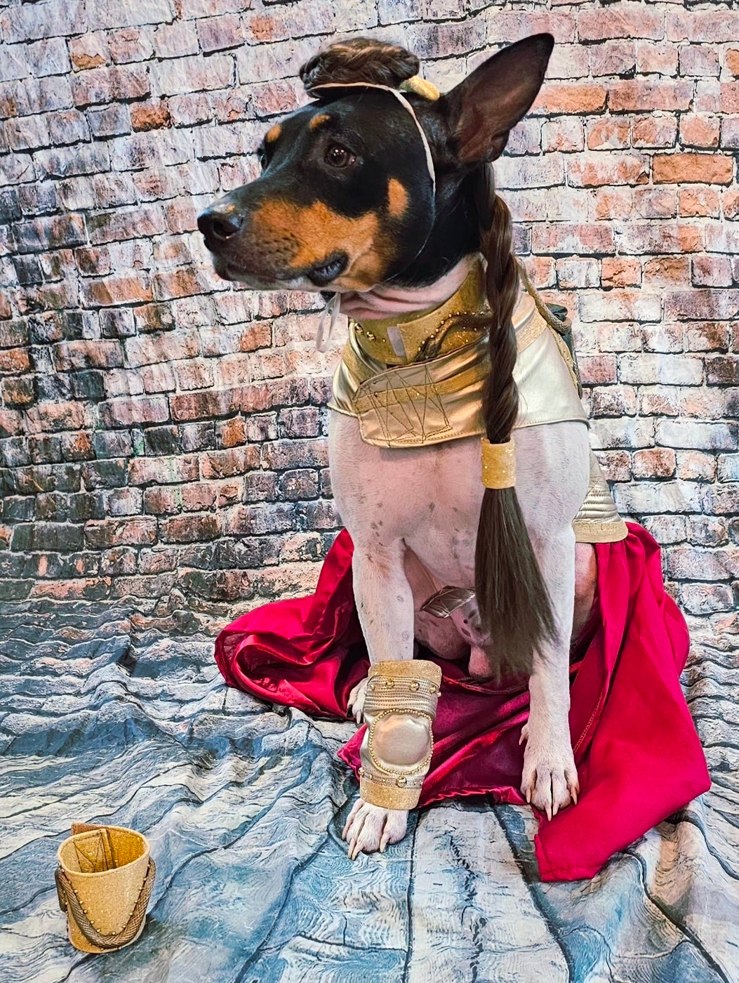 Princess Leia pet costume, princess Leia dog costume, stars wars pet costume