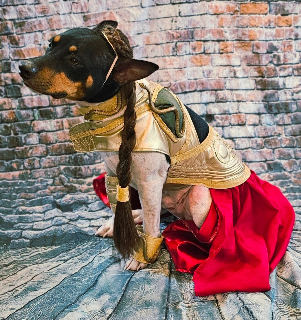 Princess Leia pet costume, princess Leia dog costume, stars wars pet costume