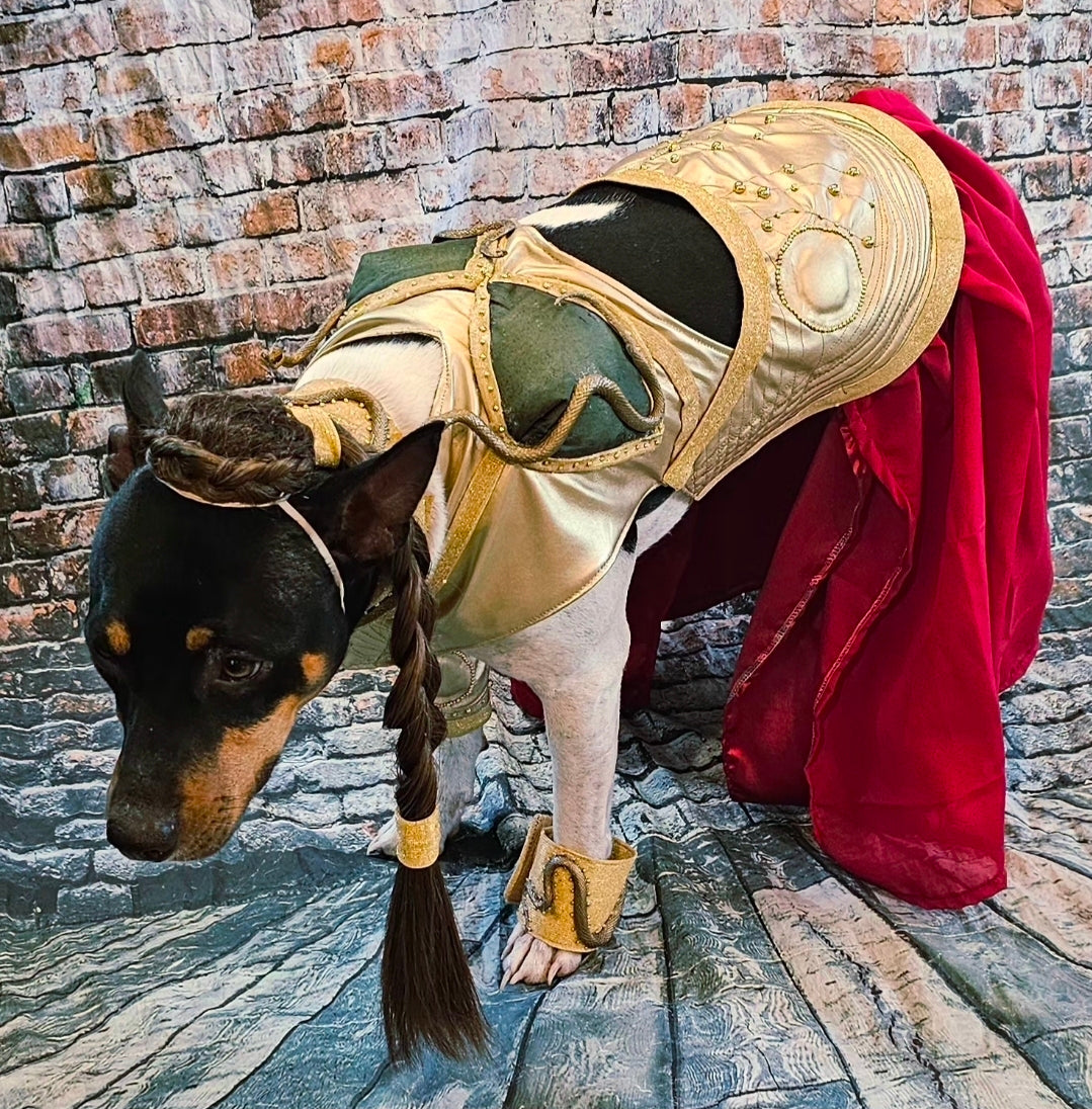 Princess Leia pet costume, princess Leia dog costume, stars wars pet costume