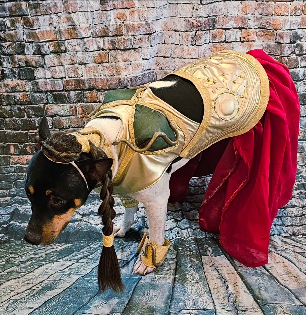 Princess Leia pet costume, princess Leia dog costume, stars wars pet costume