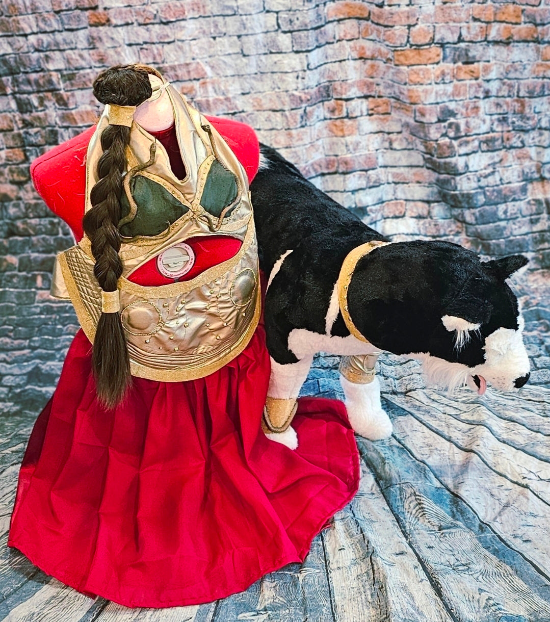 Princess Leia pet costume, princess Leia dog costume, stars wars pet costume