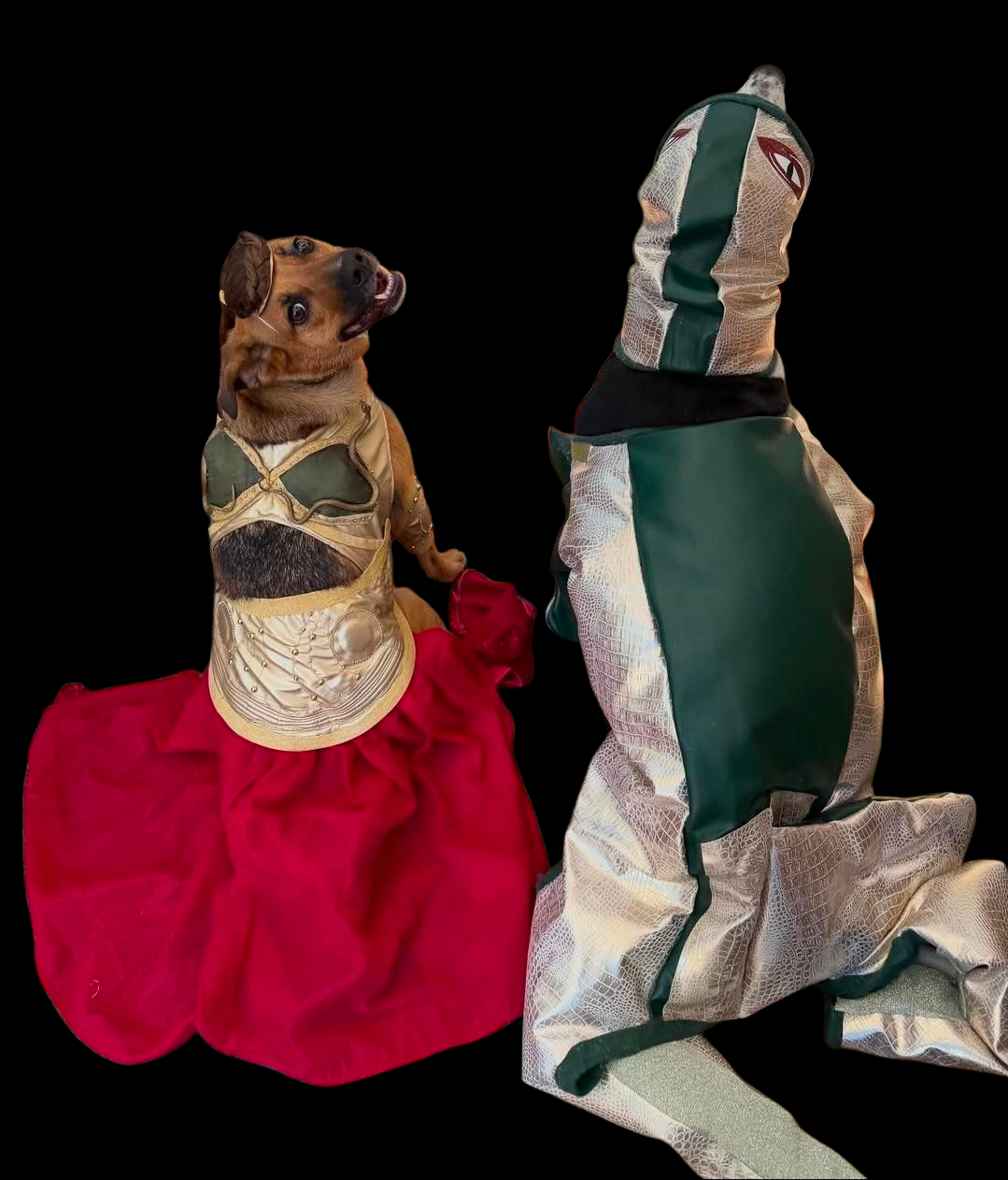 Princess Leia pet costume, princess Leia dog costume, stars wars pet costume