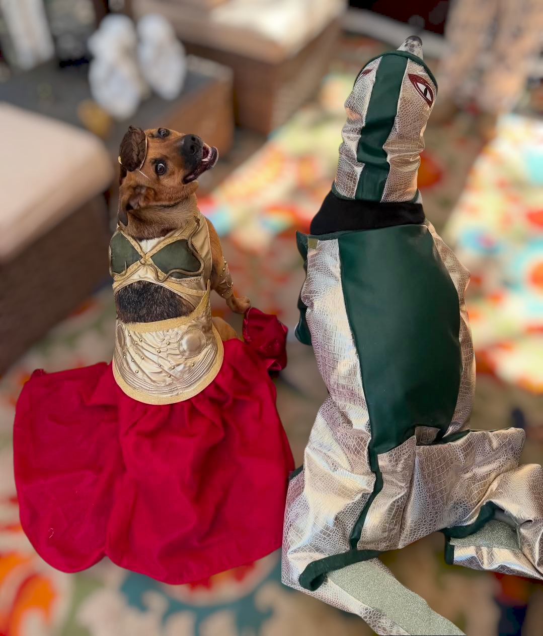 Princess Leia pet costume, princess Leia dog costume, stars wars pet costume