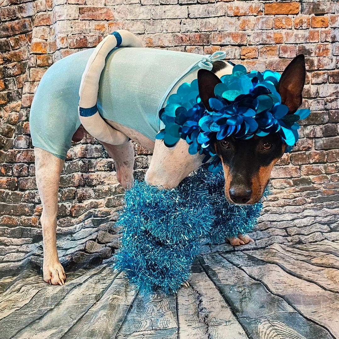 Fate of Ophelia pet costume, Fate of Ophelia swimsuit pet costume, Taylor pet costume