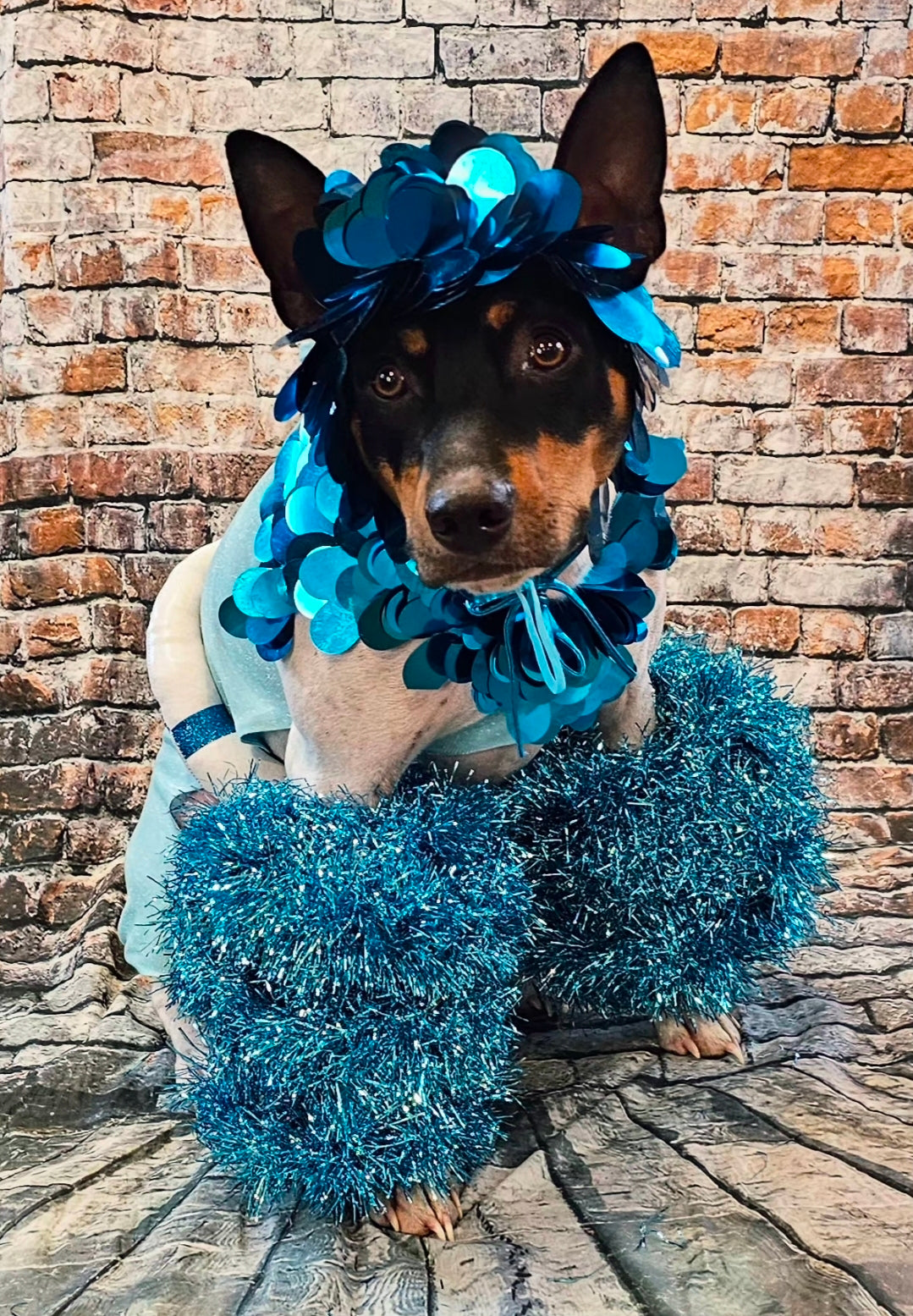 Fate of Ophelia pet costume, Fate of Ophelia swimsuit pet costume, Taylor pet costume