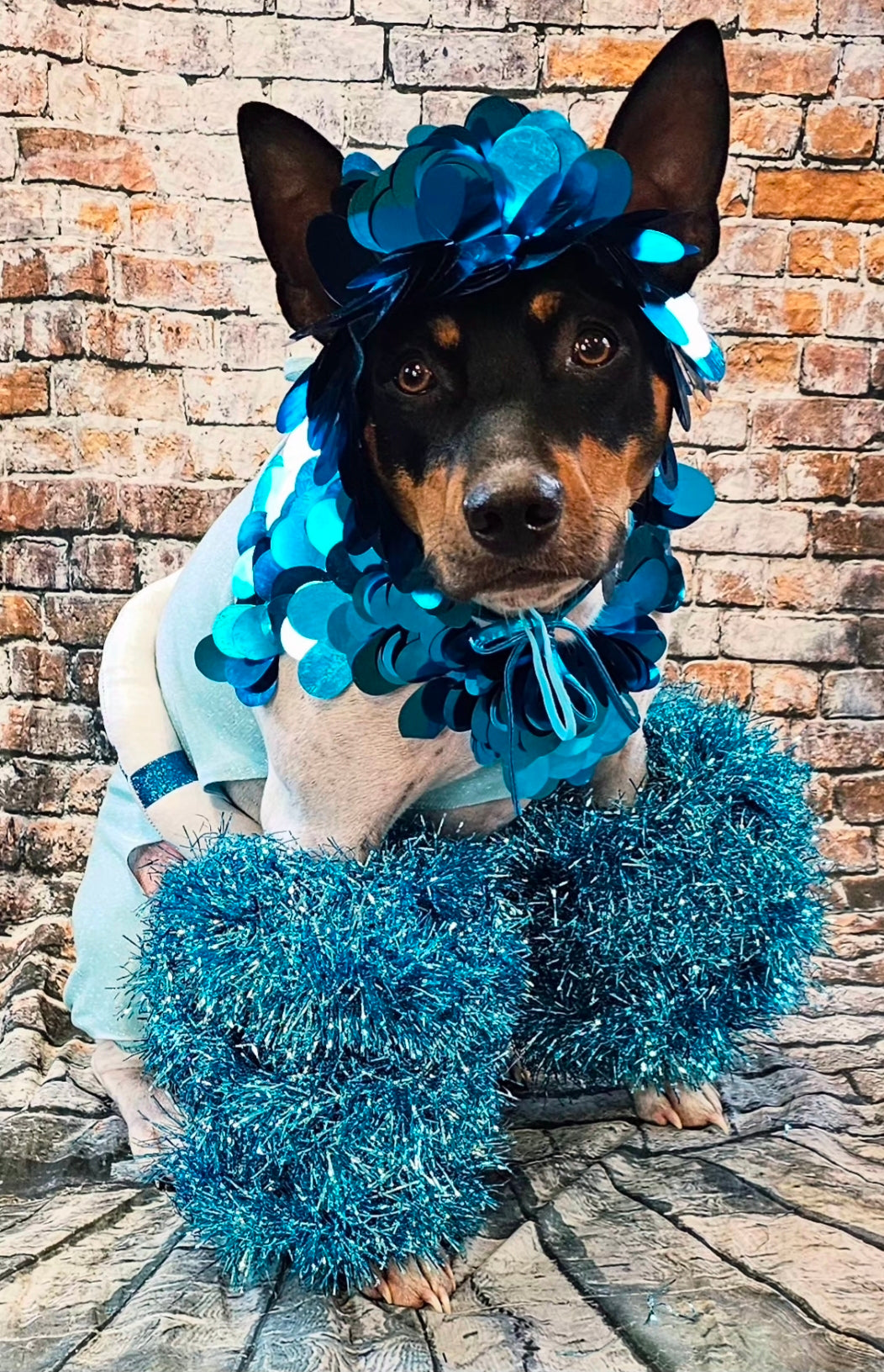 Fate of Ophelia pet costume, Fate of Ophelia swimsuit pet costume, Taylor pet costume