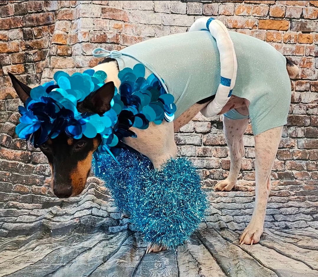 Fate of Ophelia pet costume, Fate of Ophelia swimsuit pet costume, Taylor pet costume