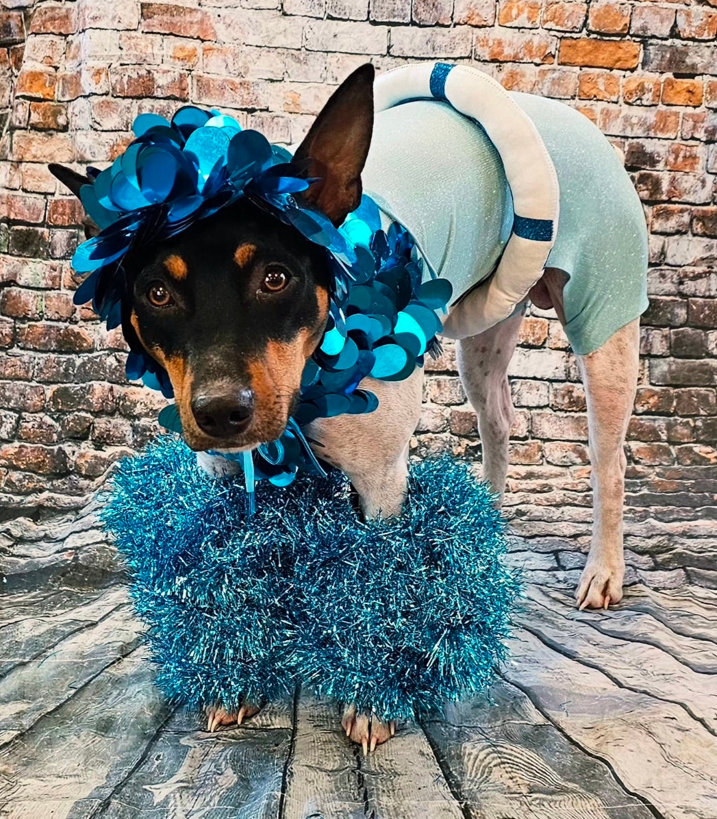 Fate of Ophelia pet costume, Fate of Ophelia swimsuit pet costume, Taylor pet costume