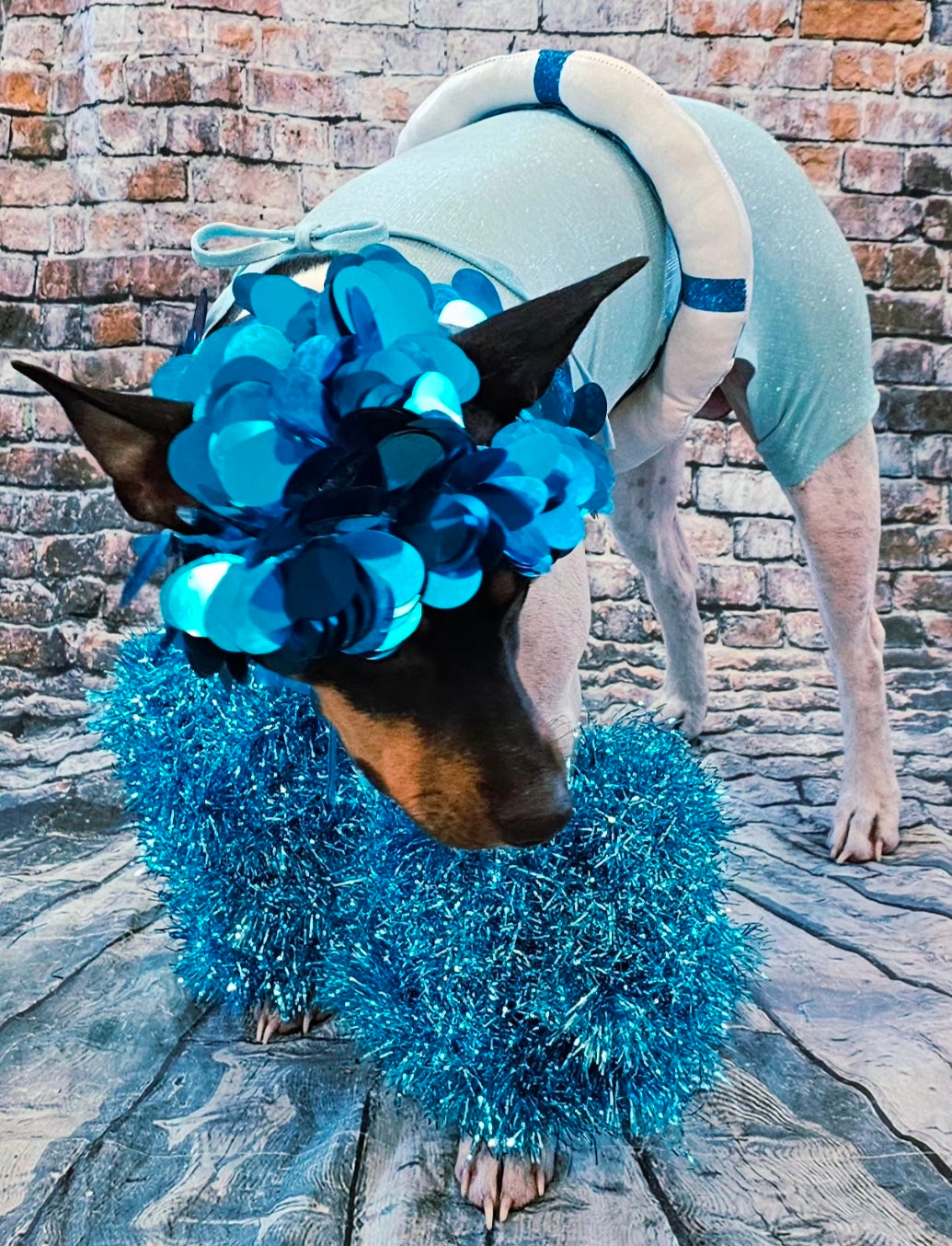 Fate of Ophelia pet costume, Fate of Ophelia swimsuit pet costume, Taylor pet costume