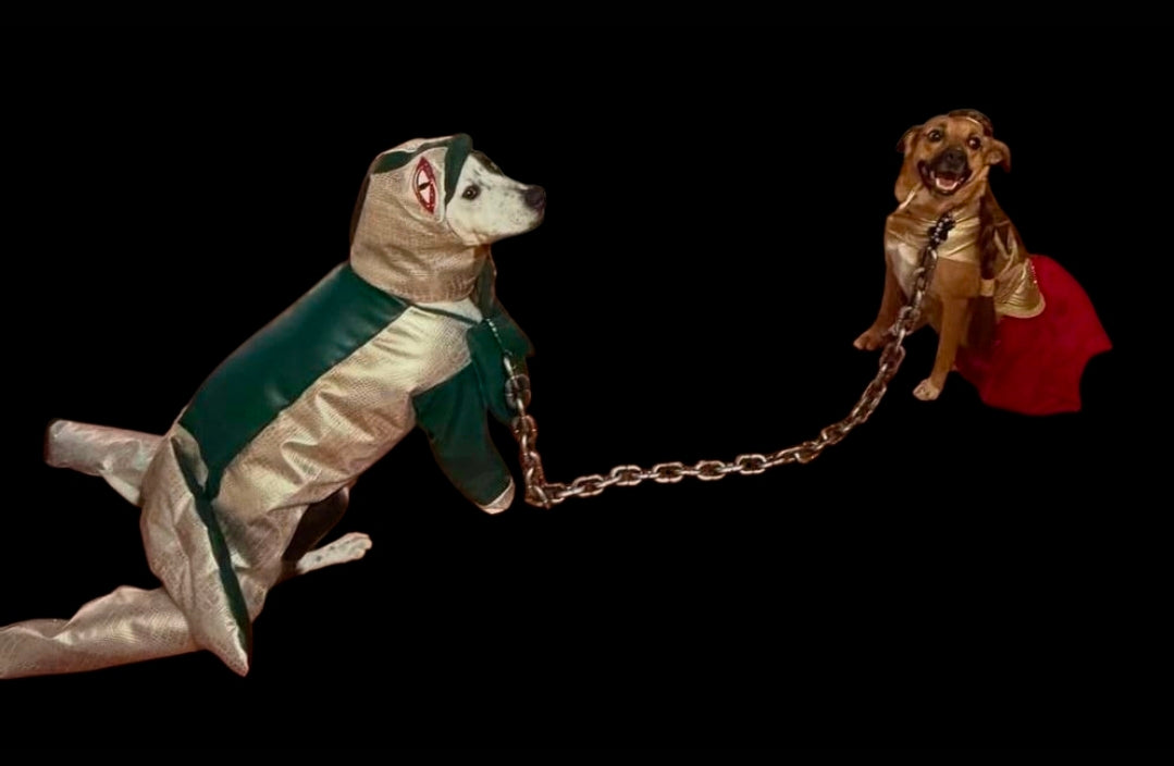 Jabba the Hutt pet costume, Jabba the Hutt dog costume, Jabba the Hutt cat costume