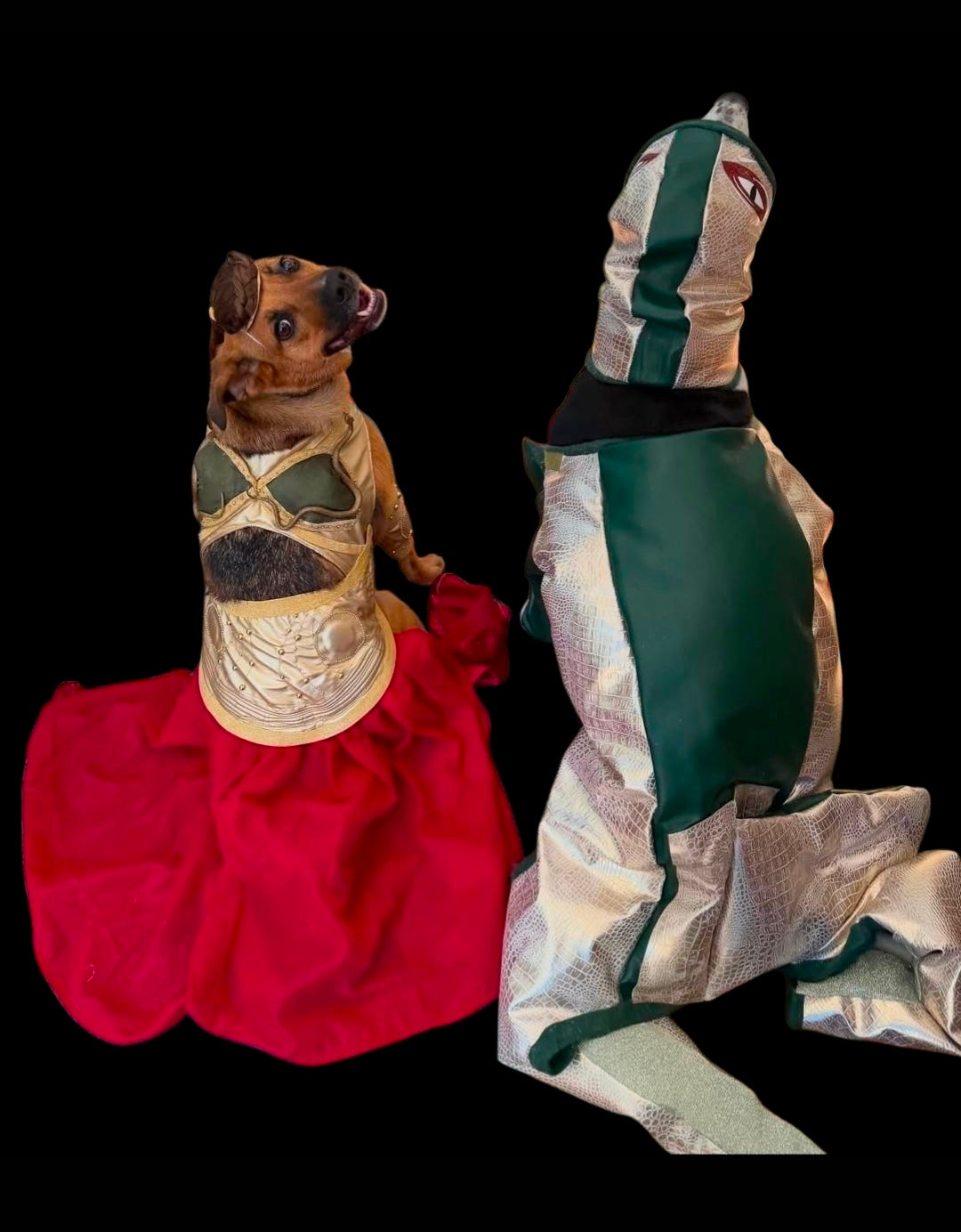 Jabba the Hutt pet costume, Jabba the Hutt dog costume, Jabba the Hutt cat costume