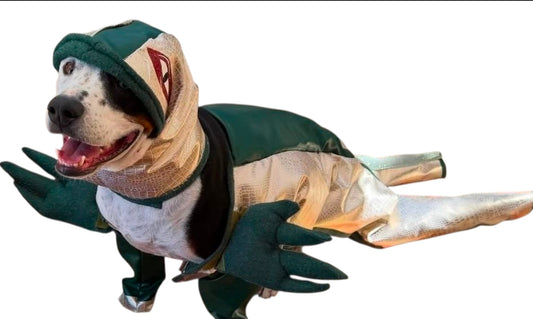 Jabba the Hutt pet costume, Jabba the Hutt dog costume, Jabba the Hutt cat costume