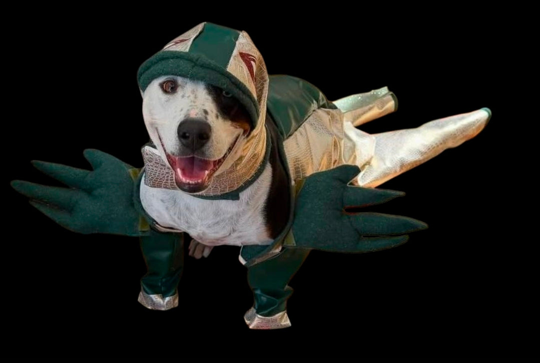 Jabba the Hutt pet costume, Jabba the Hutt dog costume, Jabba the Hutt cat costume