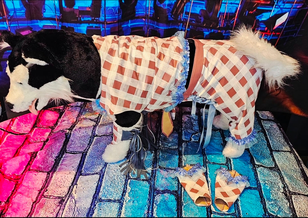 Chappell Roan Giver pet costume, Chappell Roan SNL giver pet costume, Chappell dog costume