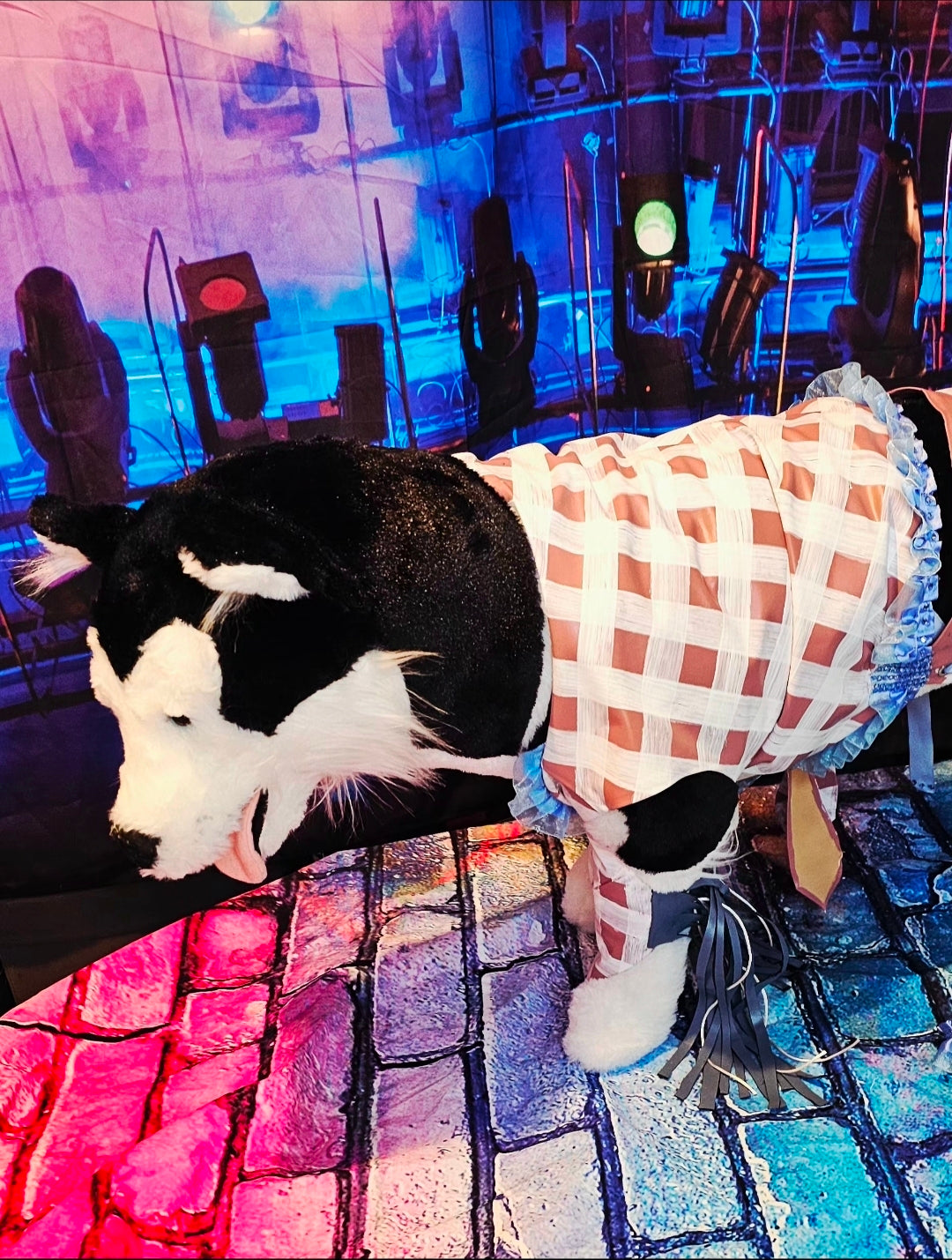 Chappell Roan Giver pet costume, Chappell Roan SNL giver pet costume, Chappell dog costume