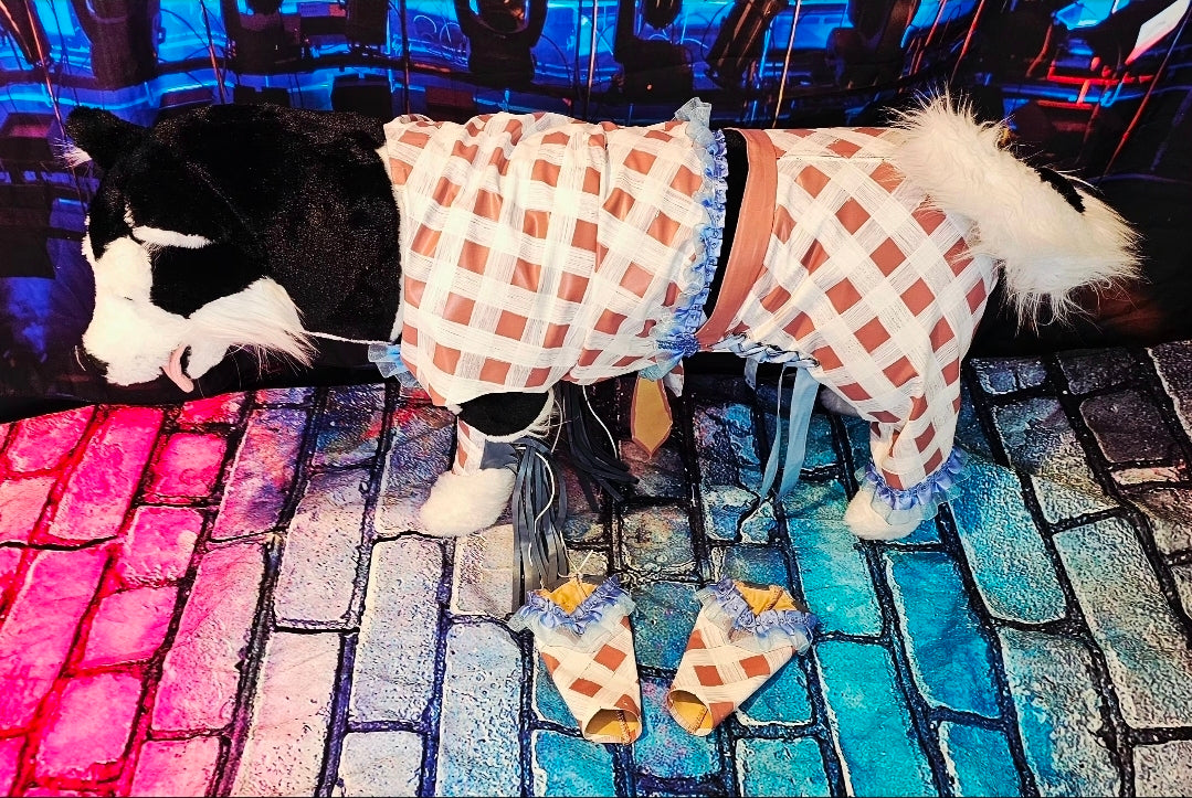 Chappell Roan Giver pet costume, Chappell Roan SNL giver pet costume, Chappell dog costume