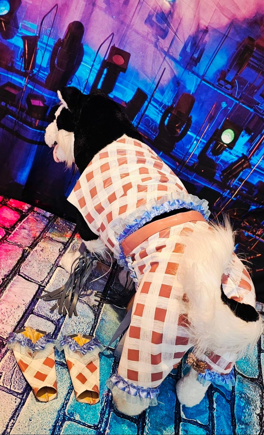 Chappell Roan Giver pet costume, Chappell Roan SNL giver pet costume, Chappell dog costume