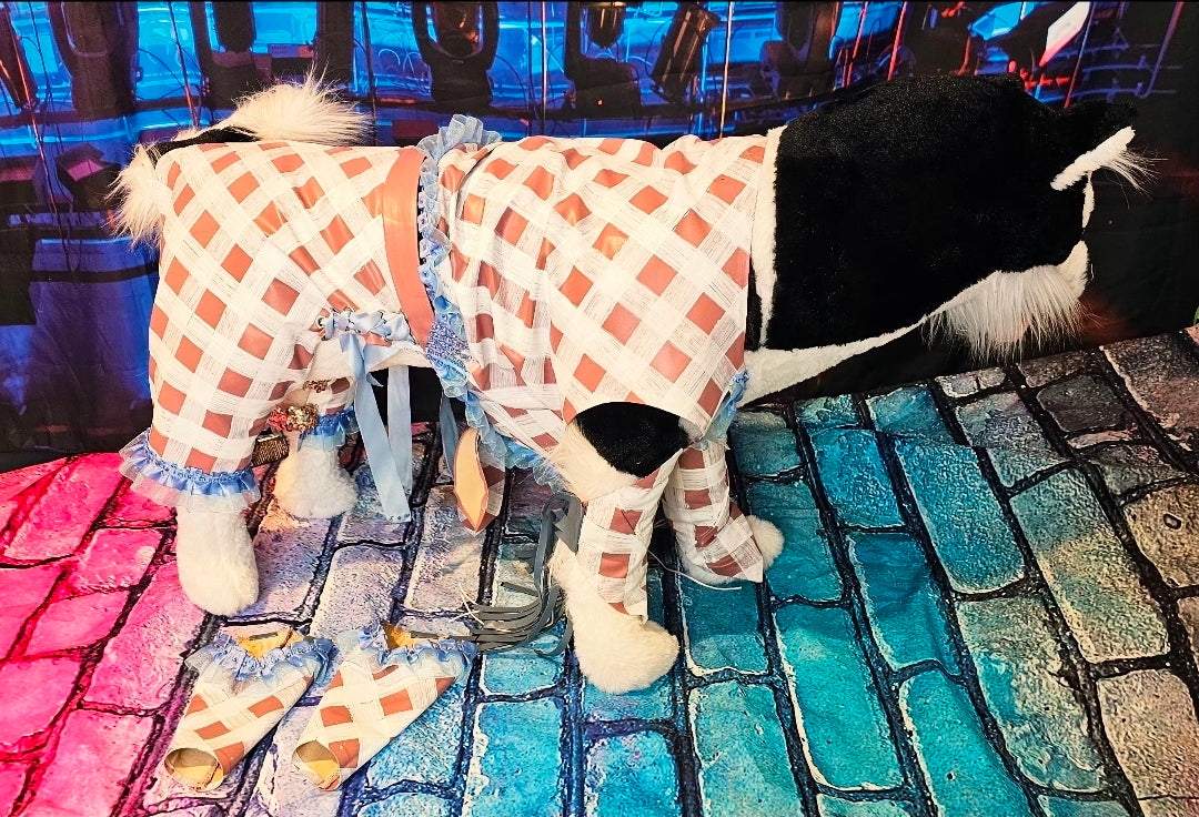 Chappell Roan Giver pet costume, Chappell Roan SNL giver pet costume, Chappell dog costume