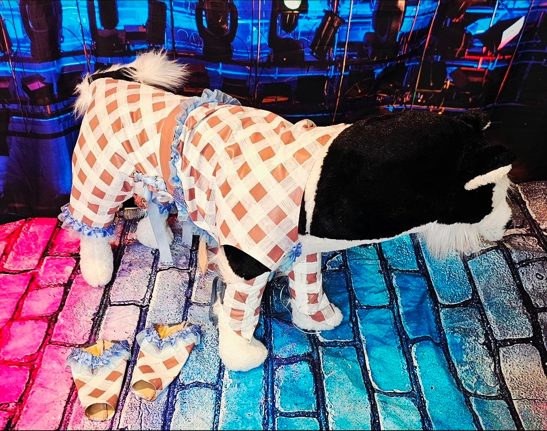 Chappell Roan Giver pet costume, Chappell Roan SNL giver pet costume, Chappell dog costume