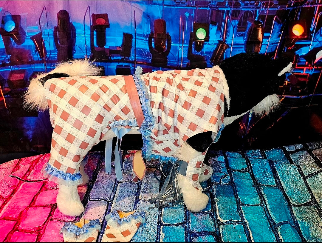 Chappell Roan Giver pet costume, Chappell Roan SNL giver pet costume, Chappell dog costume