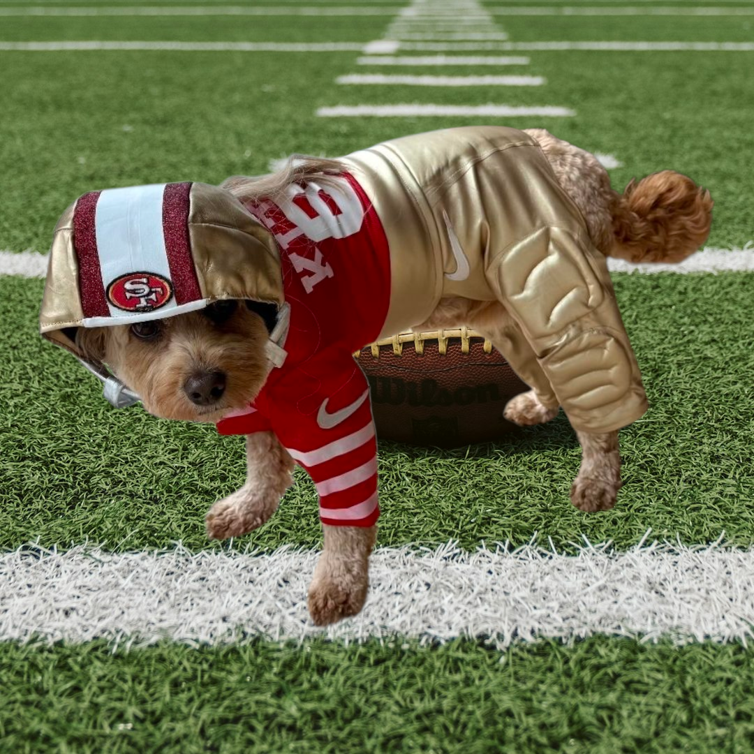 George Kittle pet costume, 49ers pet costume, football uniform pet costume
