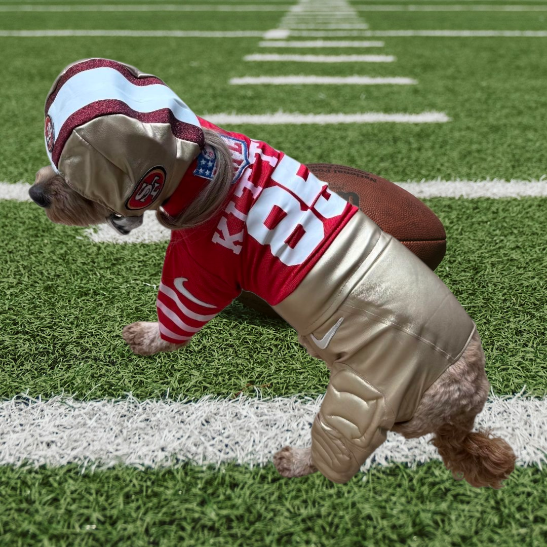 George Kittle pet costume, 49ers pet costume, football uniform pet costume