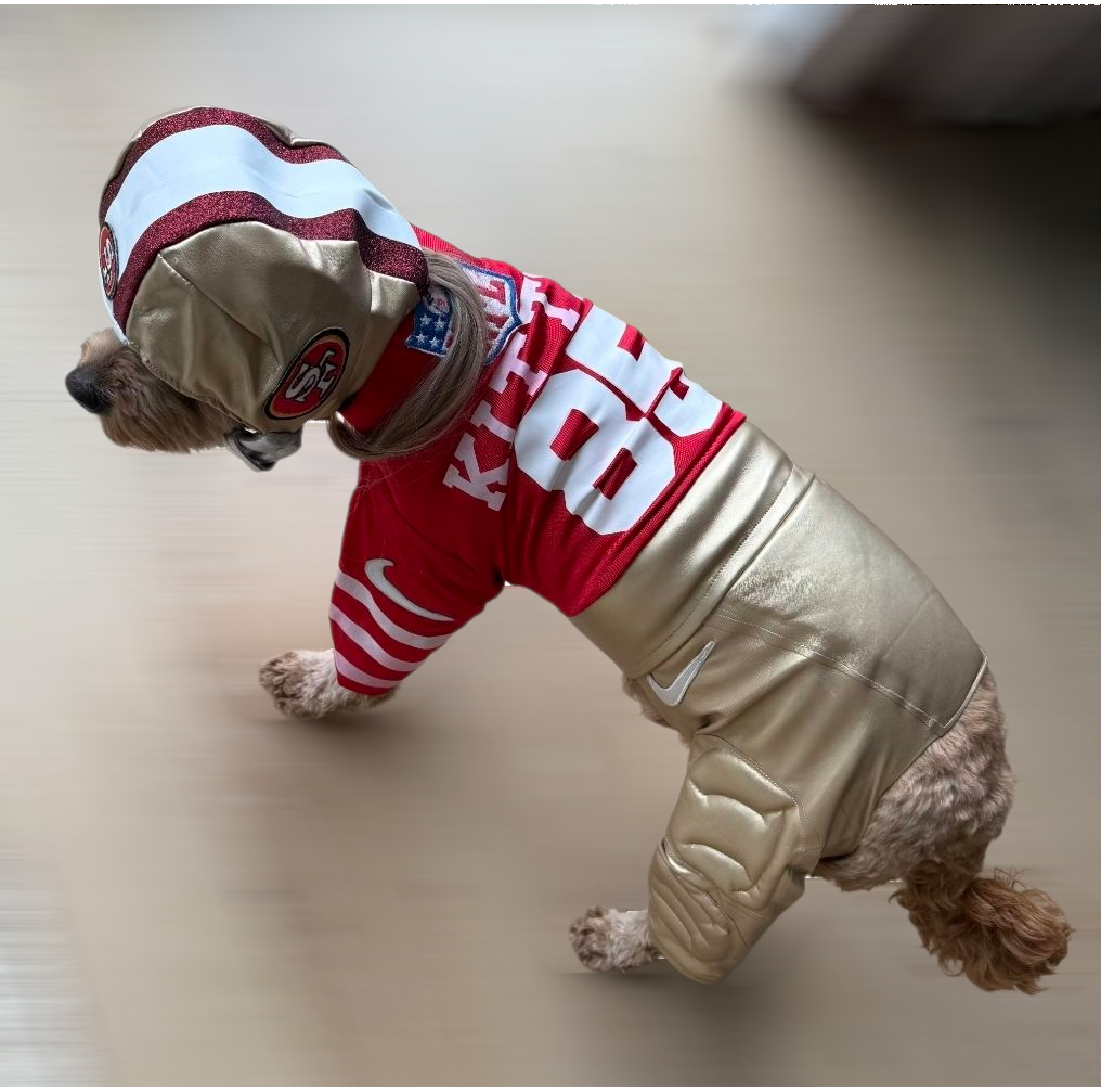 George Kittle pet costume, 49ers pet costume, football uniform pet costume