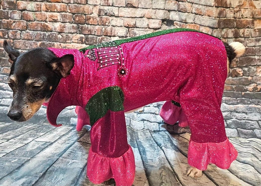 Wicked pet body suit, glitter wicked pet body suit, wicked pet costume