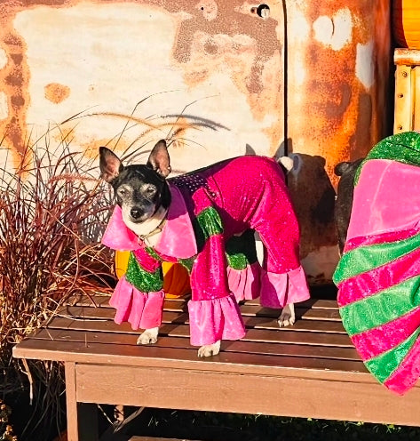 Wicked pet body suit, glitter wicked pet body suit, wicked pet costume