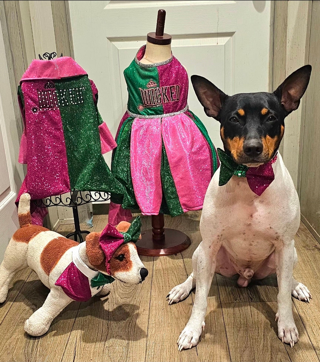 Wicked glitter embroidered pet dress, pink and green wicked pet dress