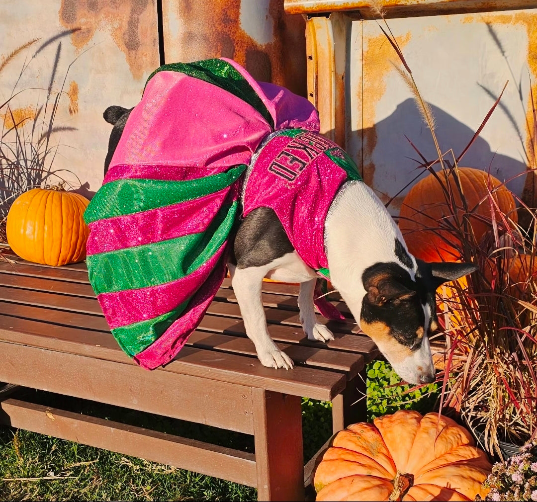 Wicked glitter embroidered pet dress, pink and green wicked pet dress