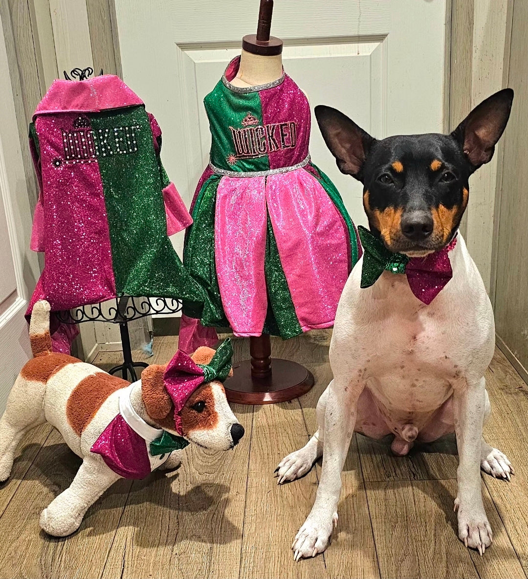 Wicked Pet Bandanna Tux, Wicked pet tux bandanna, green and pink pet bandanna