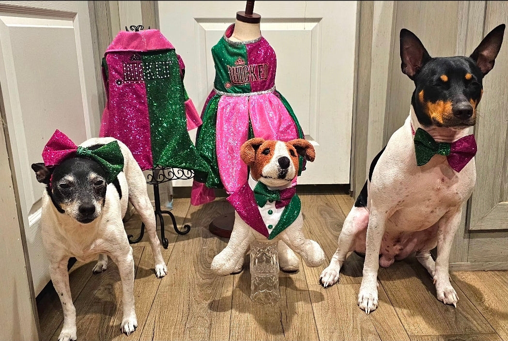 Wicked Pet Bandanna Tux, Wicked pet tux bandanna, green and pink pet bandanna