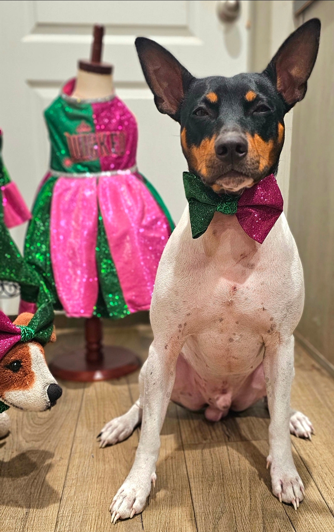 Wicked Pet Bow, green and pink pet bow, glitter wicked pet bow