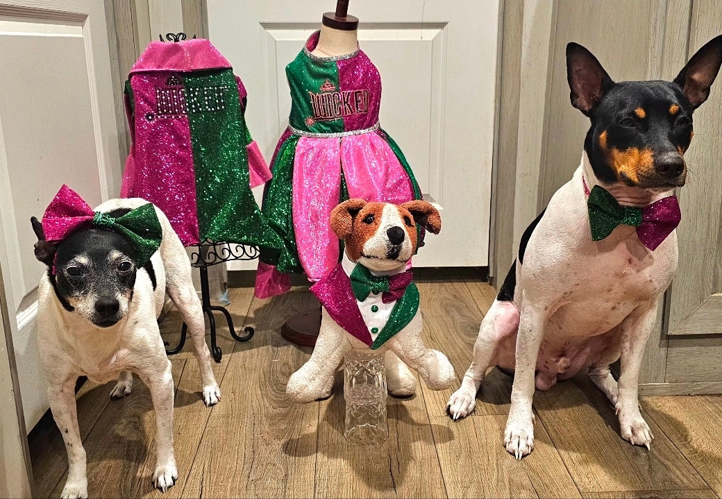 Wicked Pet Bow, green and pink pet bow, glitter wicked pet bow