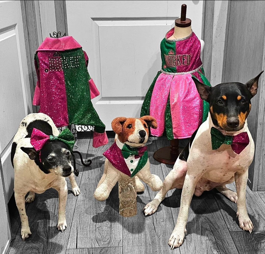 Wicked pet body suit, glitter wicked pet body suit, wicked pet costume