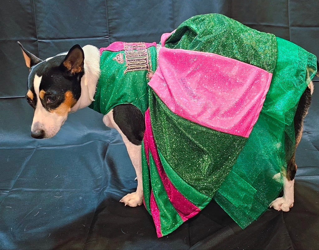 Wicked glitter embroidered pet dress, pink and green wicked pet dress