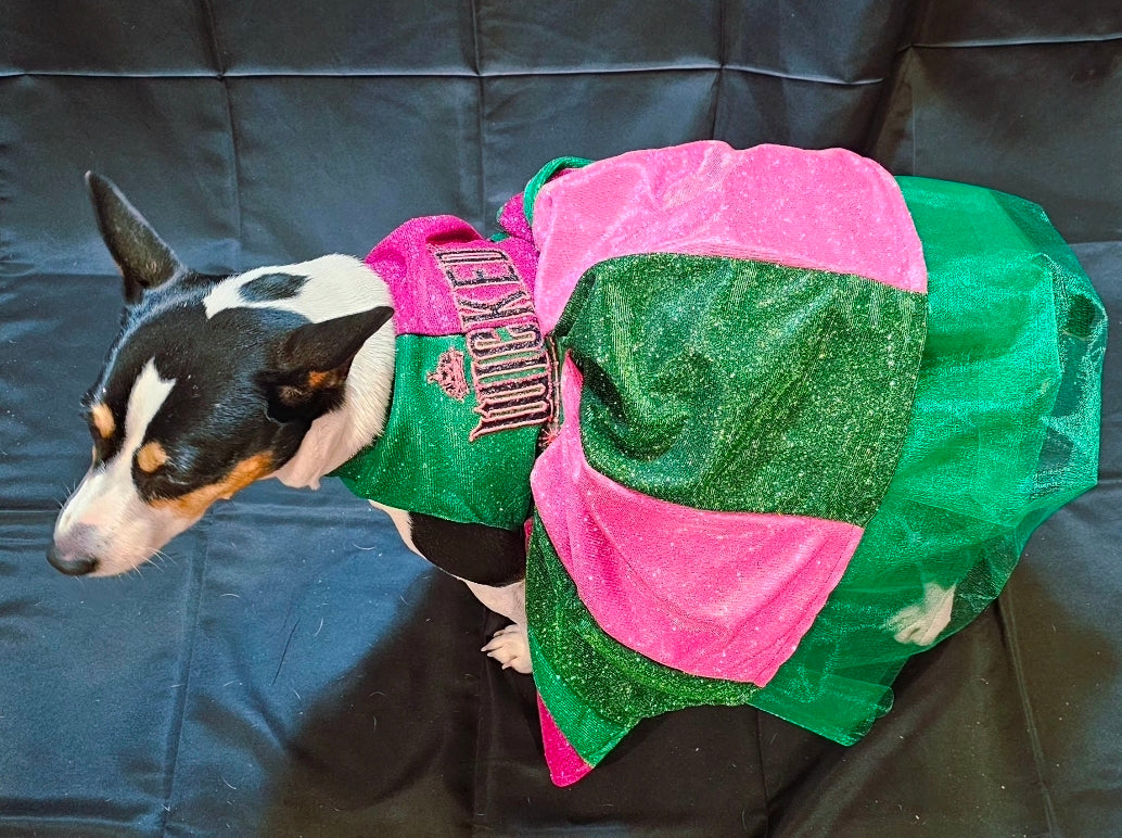 Wicked glitter embroidered pet dress, pink and green wicked pet dress