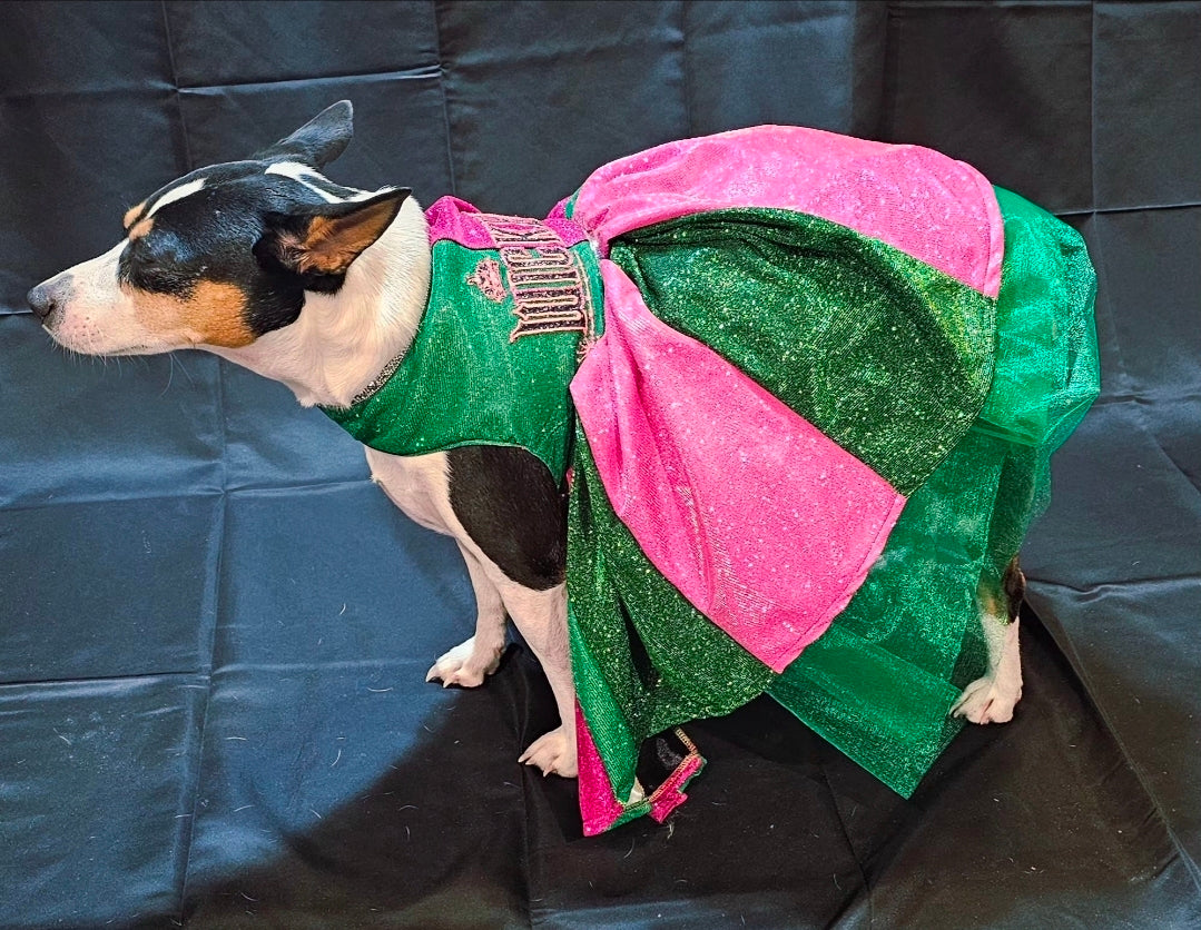 Wicked glitter embroidered pet dress, pink and green wicked pet dress