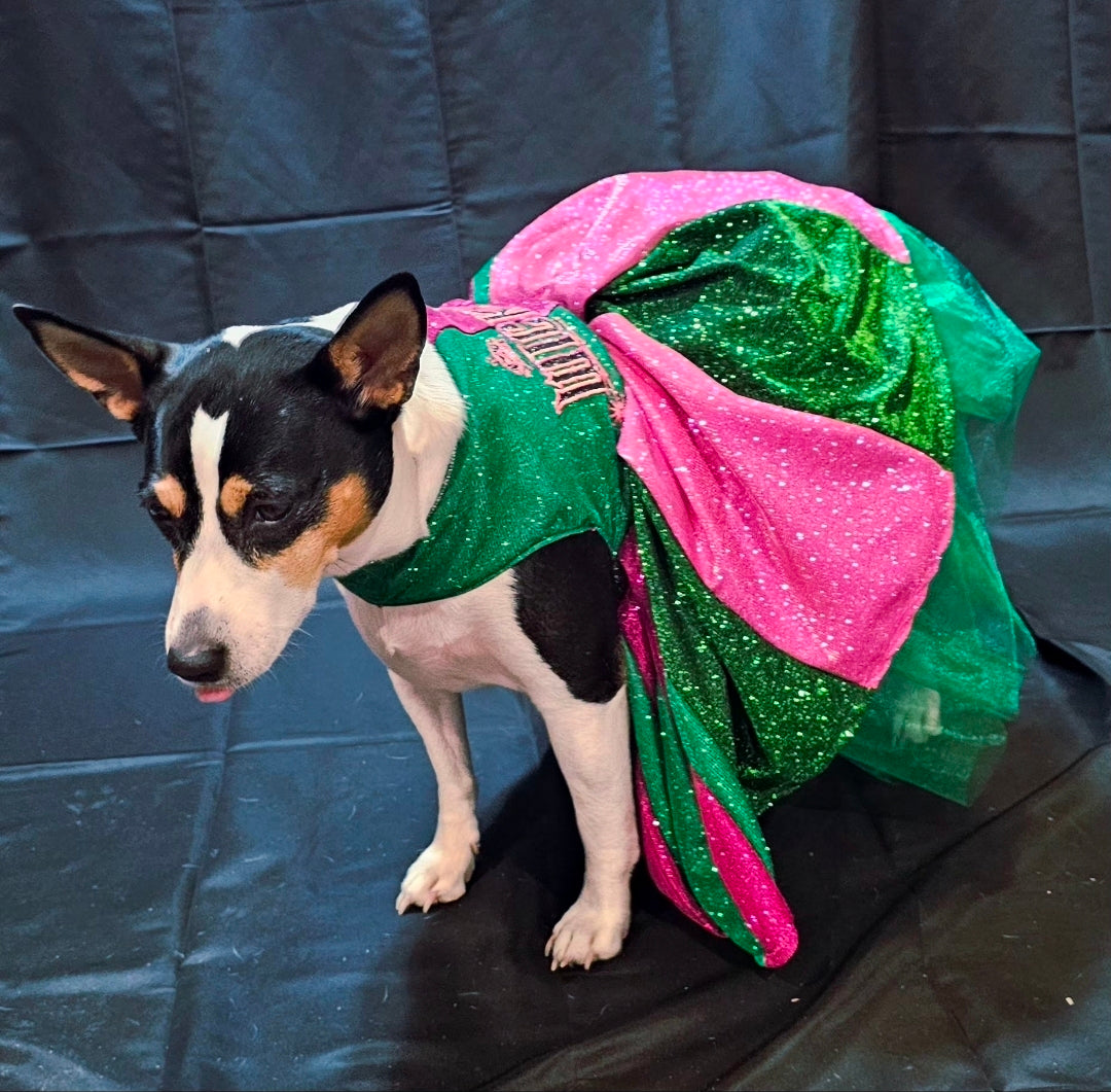 Wicked glitter embroidered pet dress, pink and green wicked pet dress