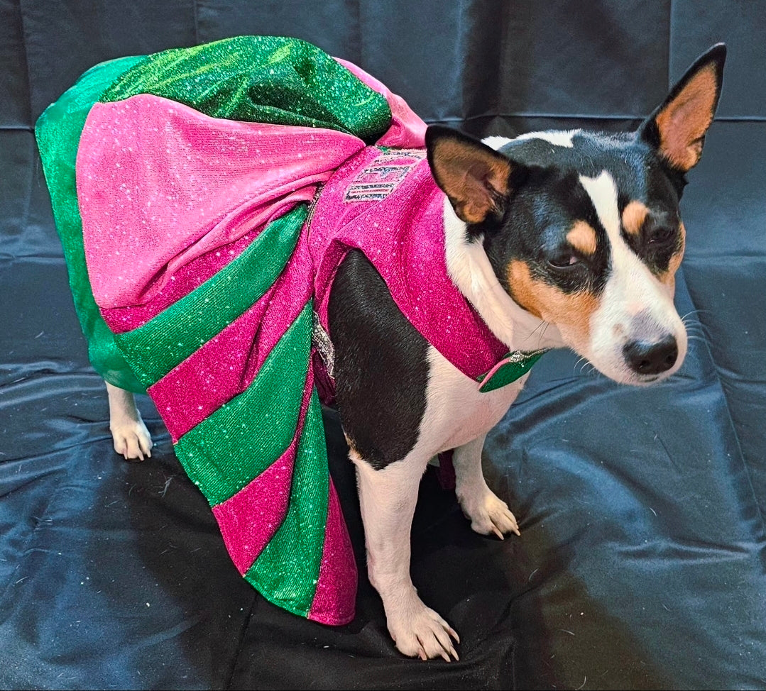 Wicked glitter embroidered pet dress, pink and green wicked pet dress