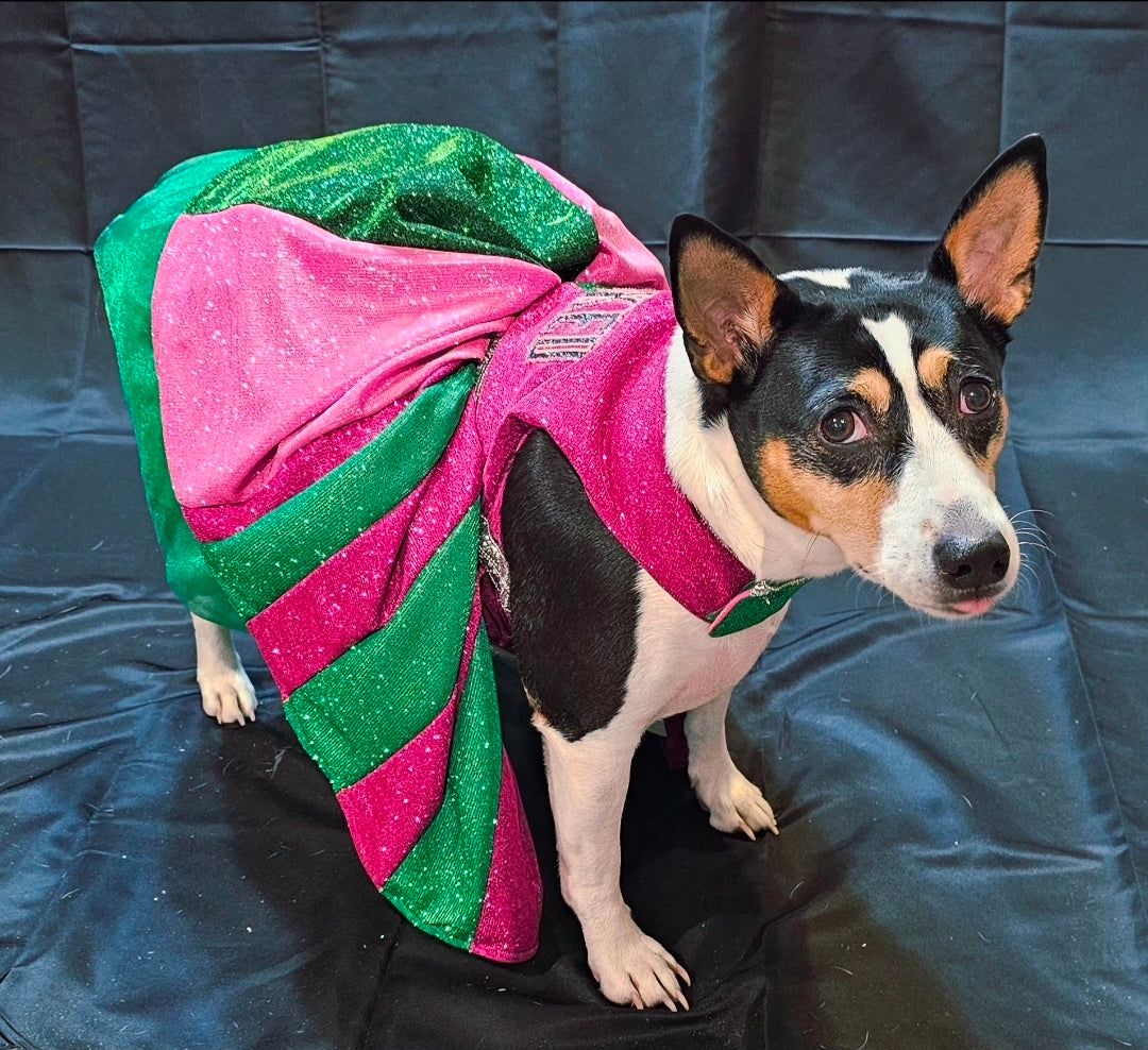 Wicked glitter embroidered pet dress, pink and green wicked pet dress