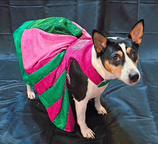 Wicked glitter embroidered pet dress, pink and green wicked pet dress